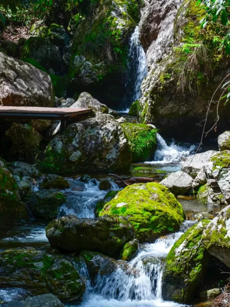 885ab1233e92c4fb6a3dad59b48fb359-sz_1285417