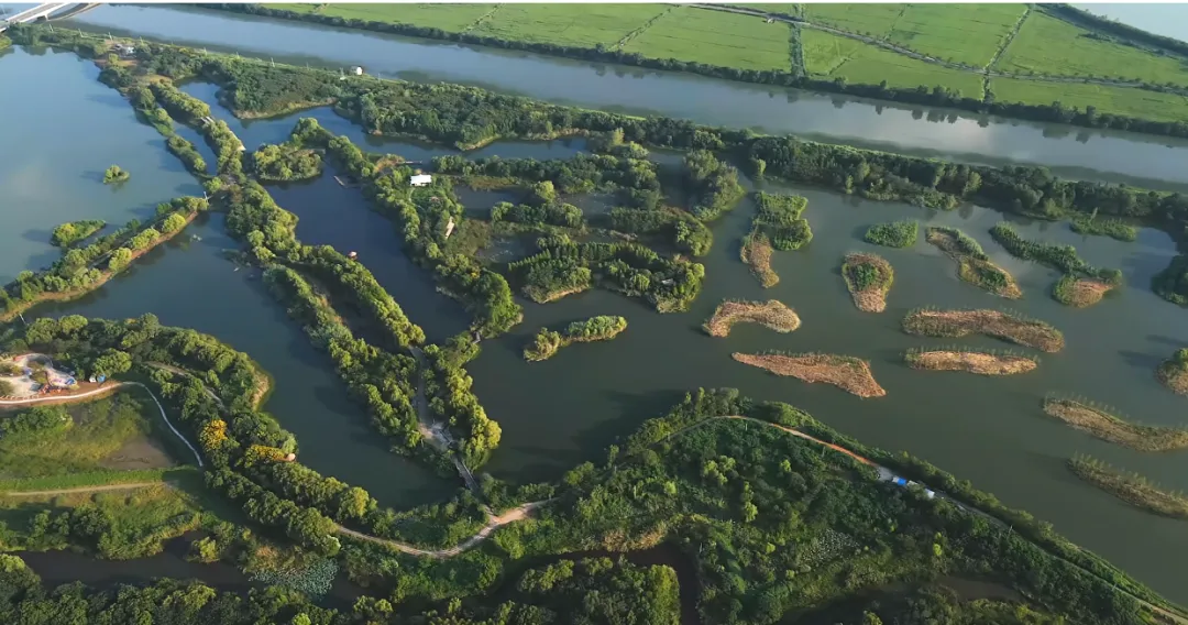 88783e537169b7e67f690746443e35e3-sz_1315016 88783e537169b7e67f690746443e35e3-sz_1315016