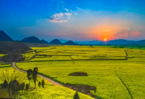 88a5aab0279426643564467847dc60b5-sz_282532