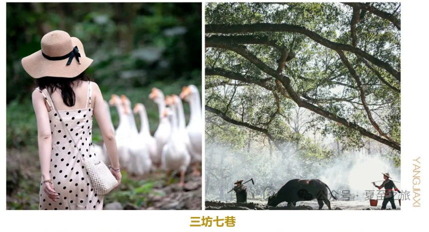 88c11b9c92676322dc042afc44876ac3