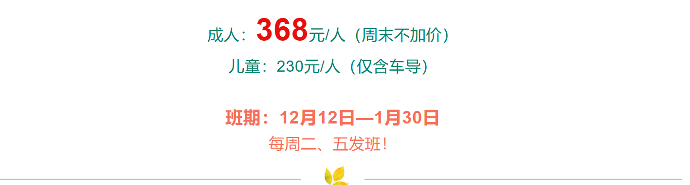 88c3d634531a5d63d259761c383ca09c