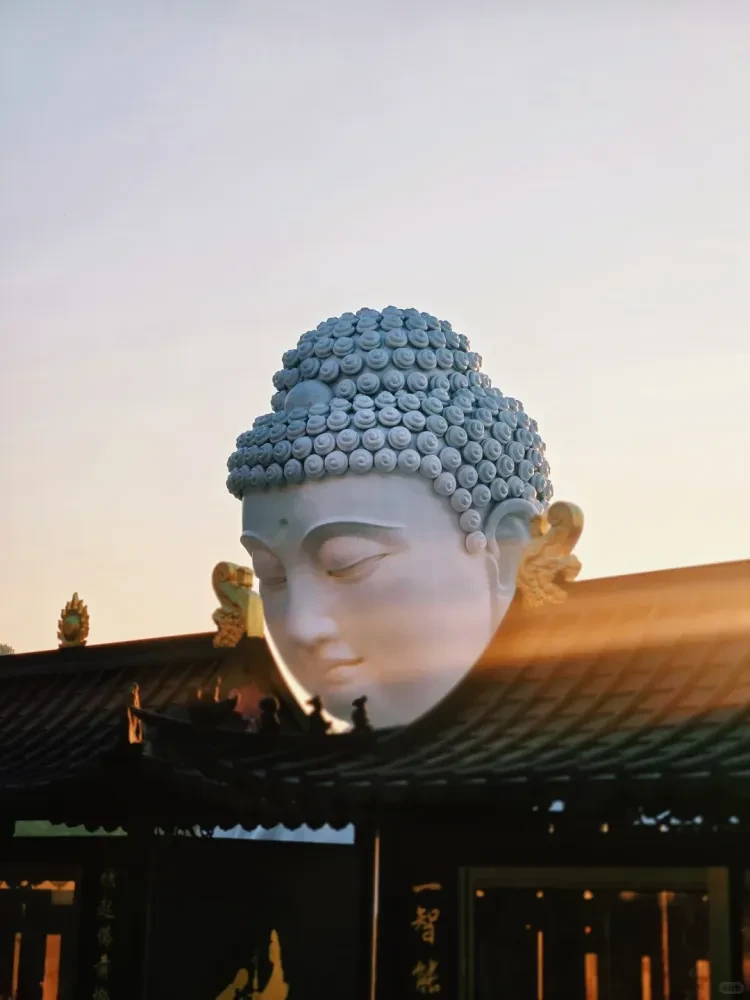 88cef78e21f0049ff8ac687ffca8c566-sz_1123938 88cef78e21f0049ff8ac687ffca8c566-sz_1123938