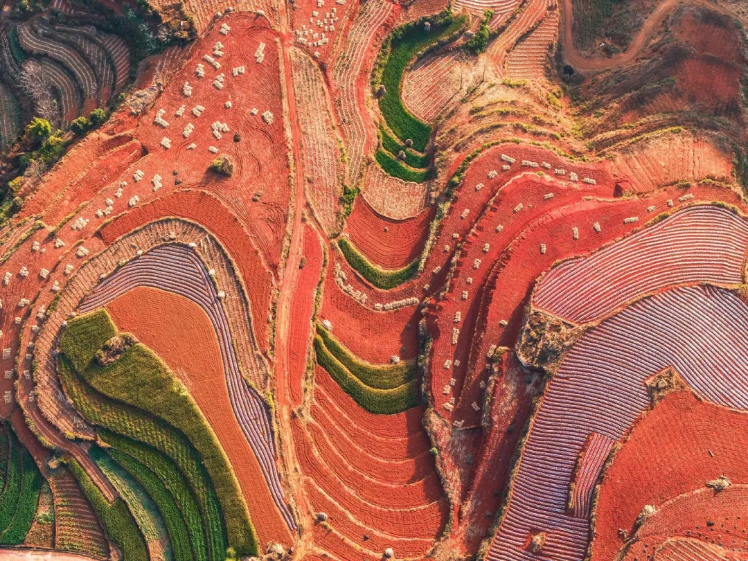 88d68f130ac15e554f555cab4a474fc9-sz_4922321