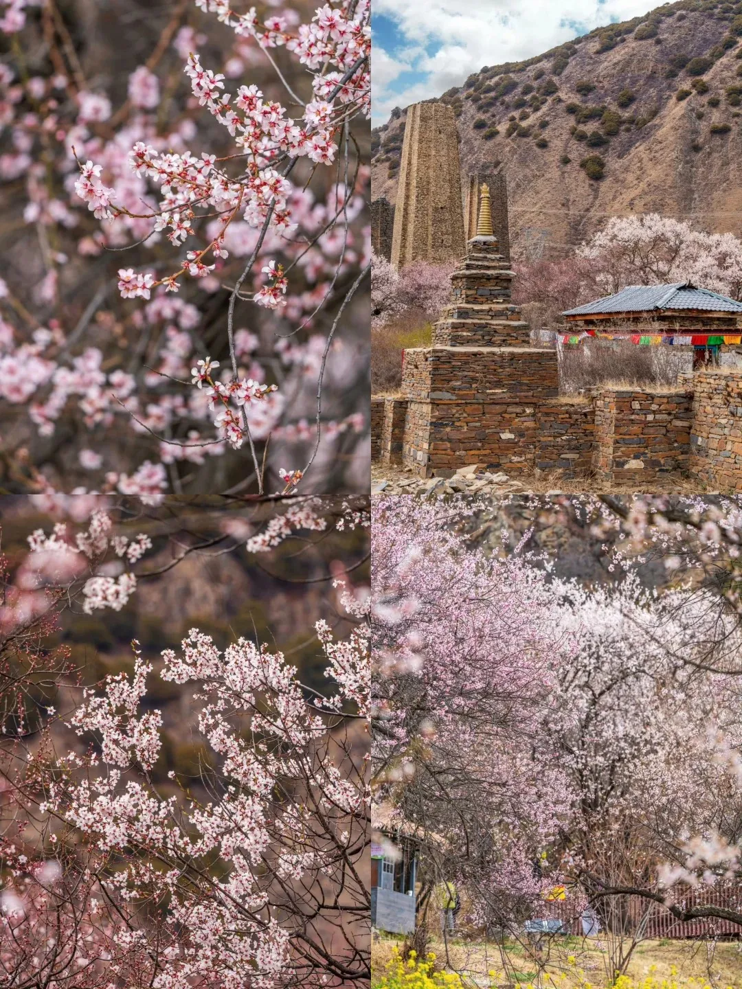 8917880838a8785e2c3f85989c2eefe1-sz_694067