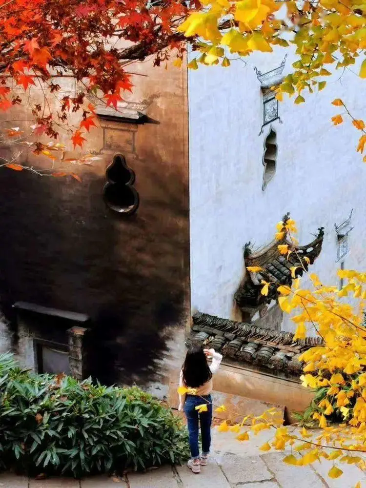 8926d42fa57359dea84a9e667dbb1ea6-sz_127711 8926d42fa57359dea84a9e667dbb1ea6-sz_127711