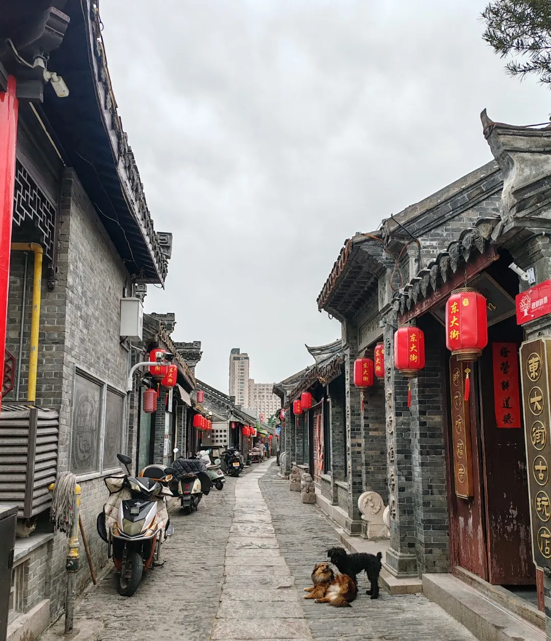 892eb53833974502e02ab06b400e8317-sz_2454790