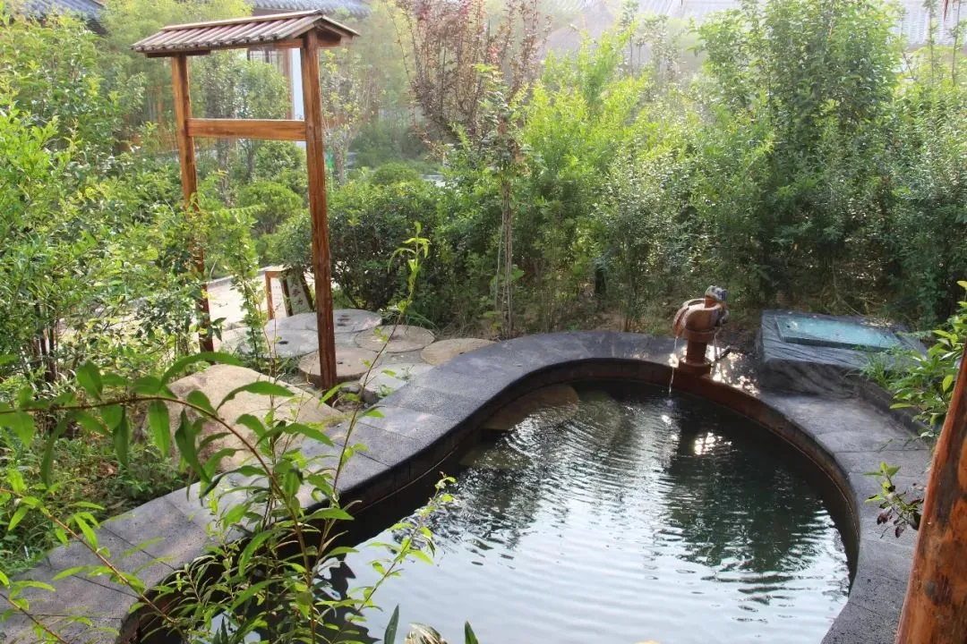 893972e915f150bde8c9dd33f8240257-sz_1556925