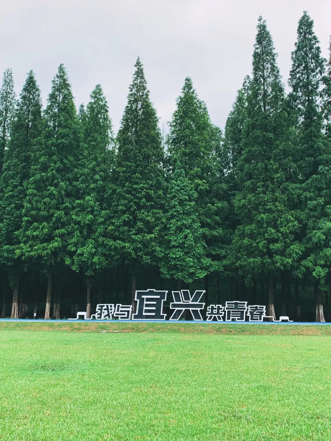 8948e2556d69d36639019a958689a2e7-sz_571434-1