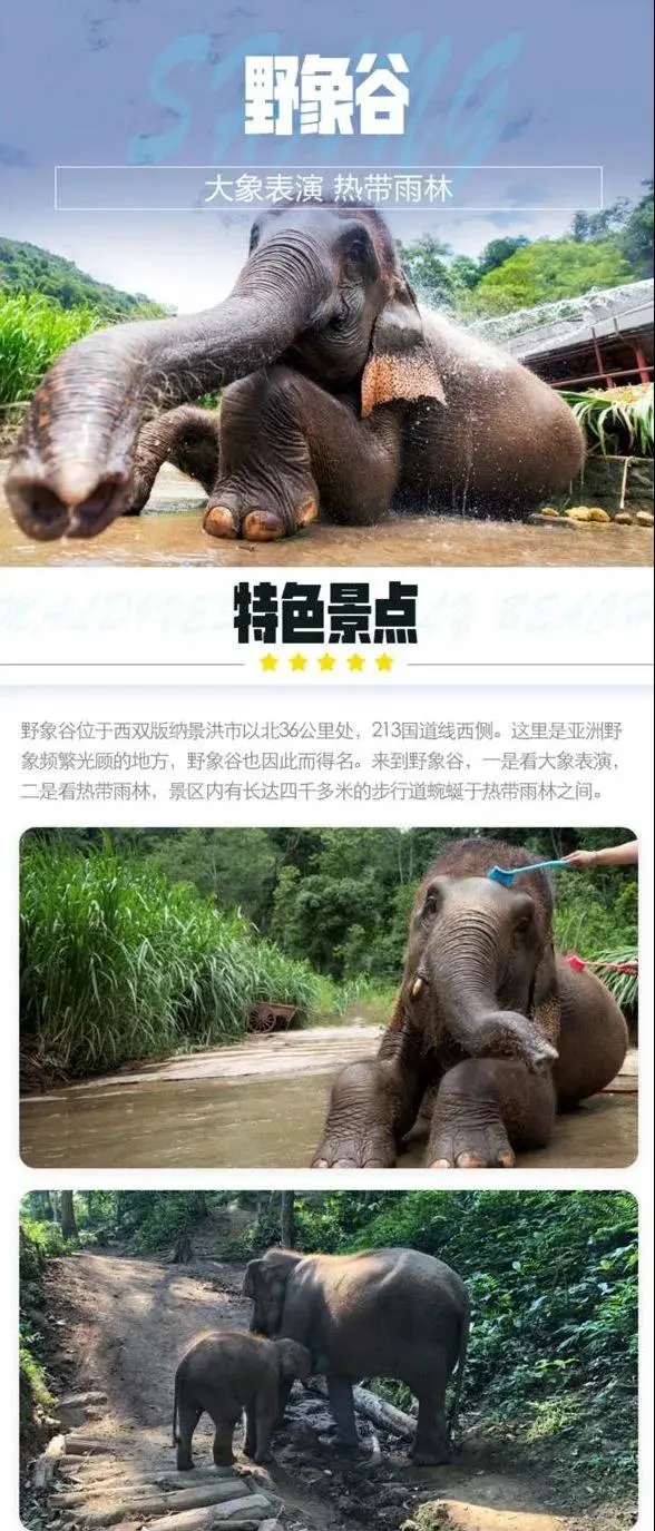 89554580a399dce29236d40951e04b43-sz_158165 89554580a399dce29236d40951e04b43-sz_158165