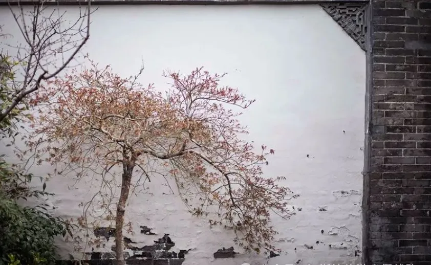 895f284ce6747c42f8ede4ae599438a6-sz_766932