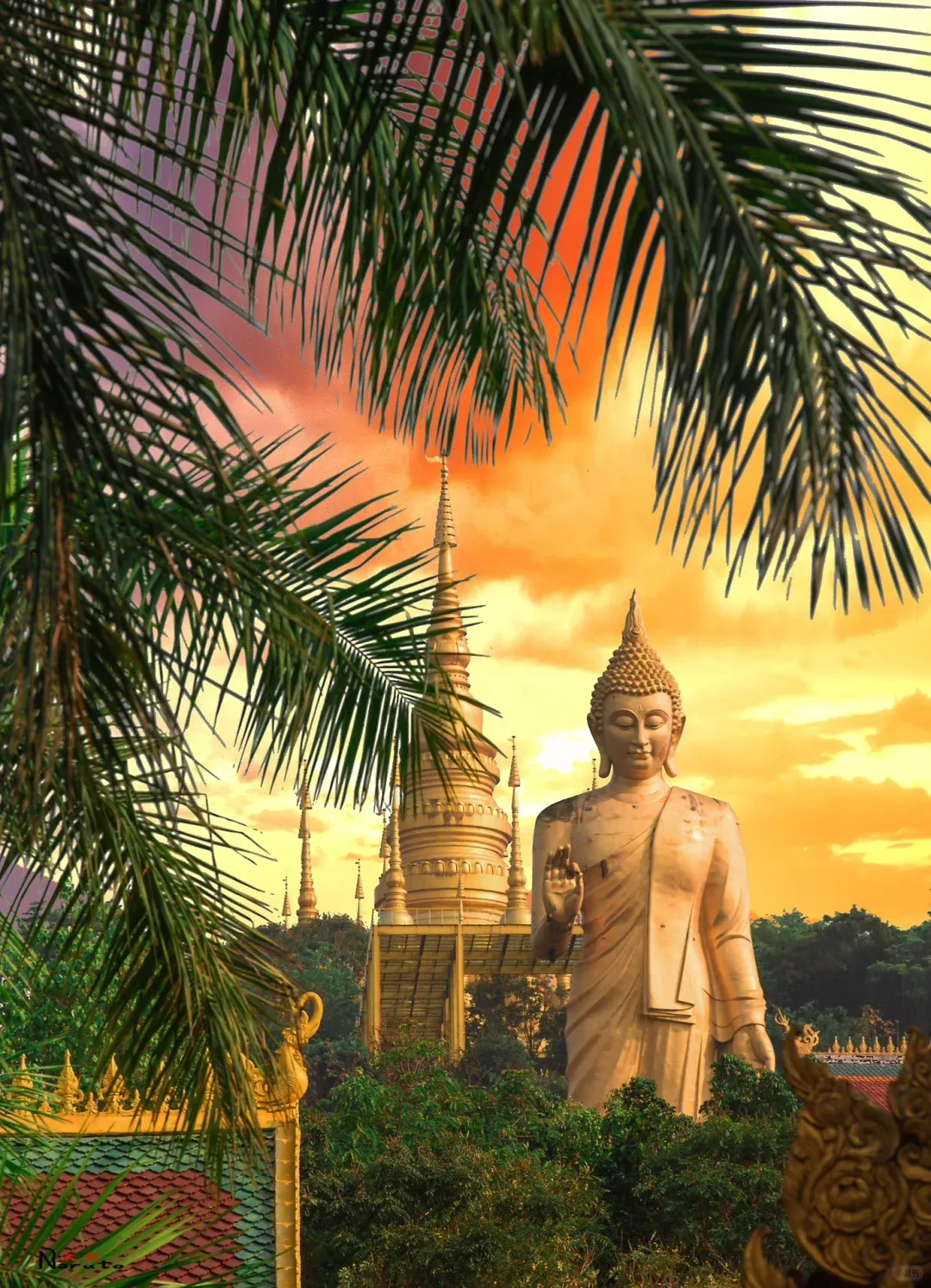 89643885763de62810d0ac9278c17cdd-sz_2635402 89643885763de62810d0ac9278c17cdd-sz_2635402