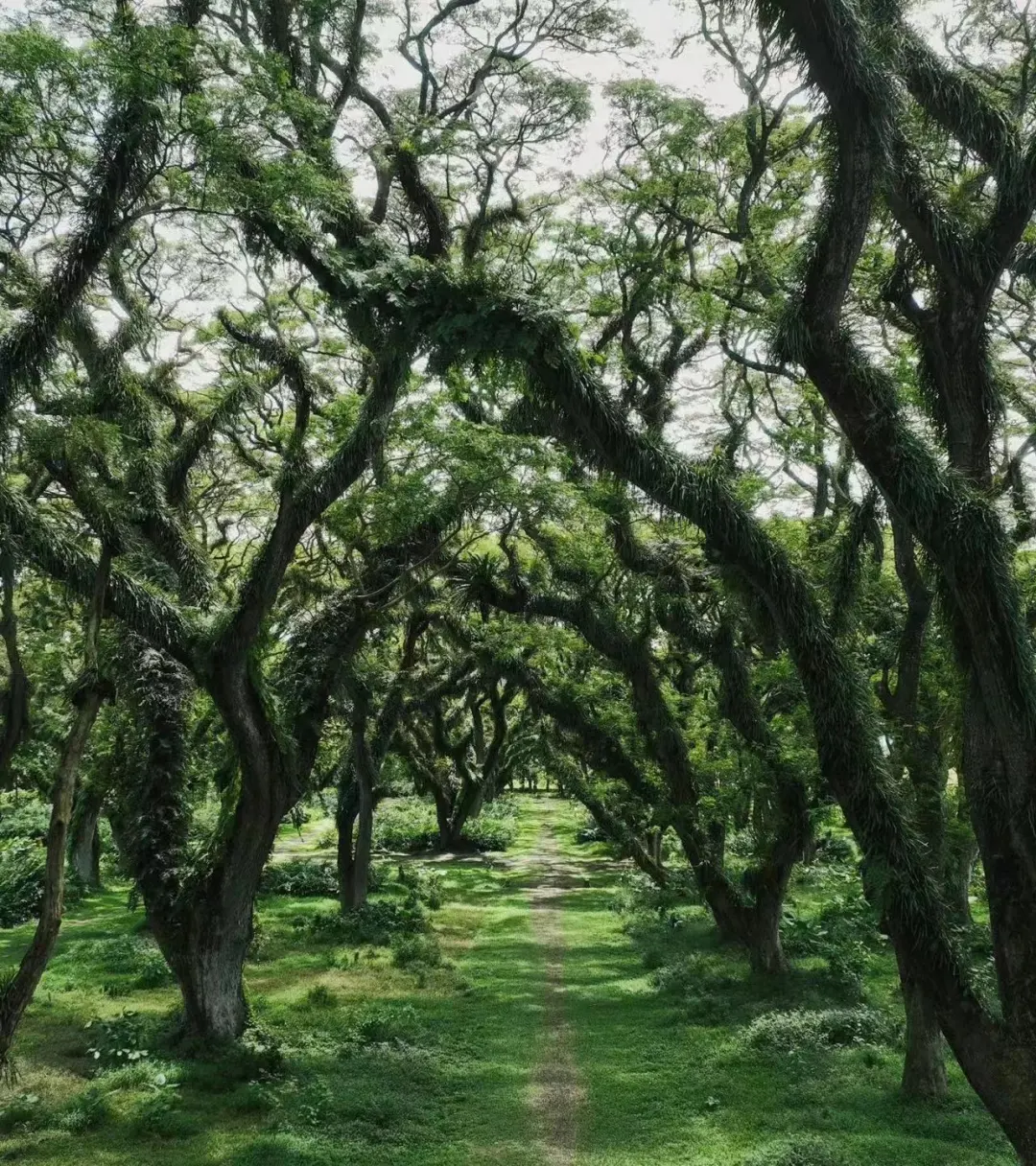 89bc061ba99dca247fcaa0f07a46338a-sz_516909