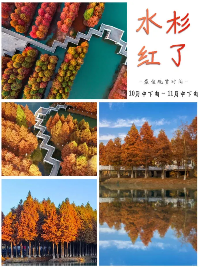 89e90d563d8da29bdb0e5ff07a9aabf5-sz_399859 89e90d563d8da29bdb0e5ff07a9aabf5-sz_399859