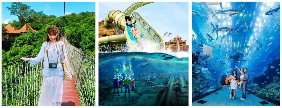 89ff4d13df4c5d007bb2102173f17ad5-sz_337850 89ff4d13df4c5d007bb2102173f17ad5-sz_337850