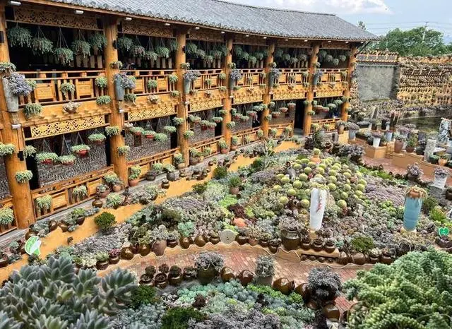 8a093088fb03f53ed58348ad273f6935-sz_106148