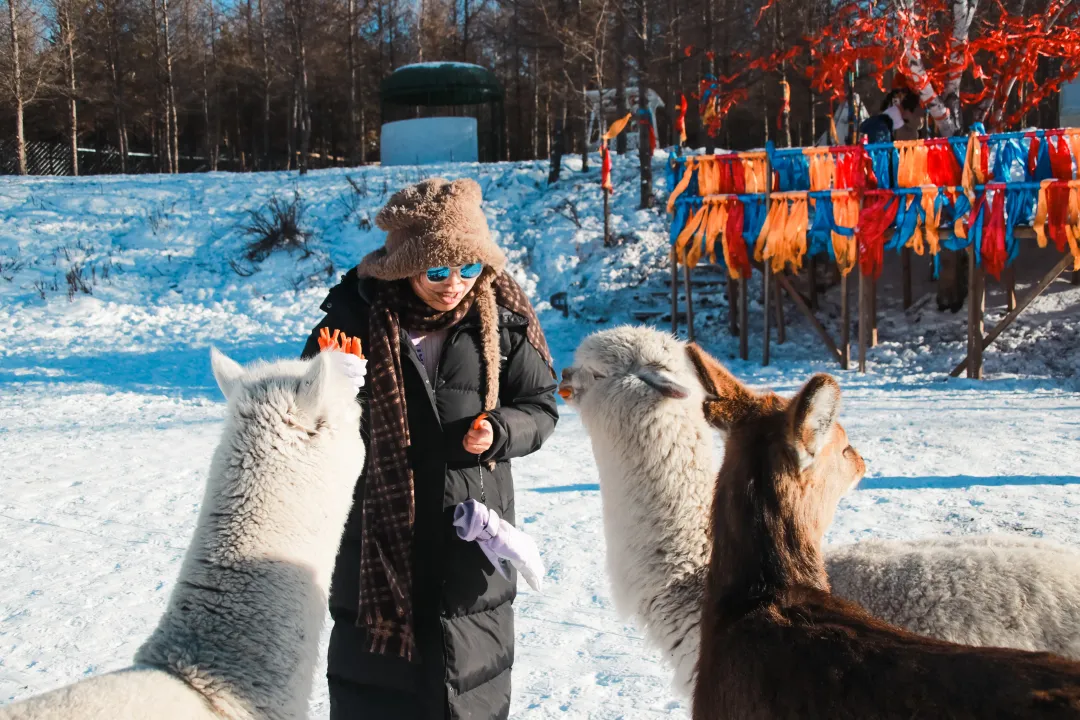 8a22c907d15572b70f20bcc7f2722f52-sz_6878566-1