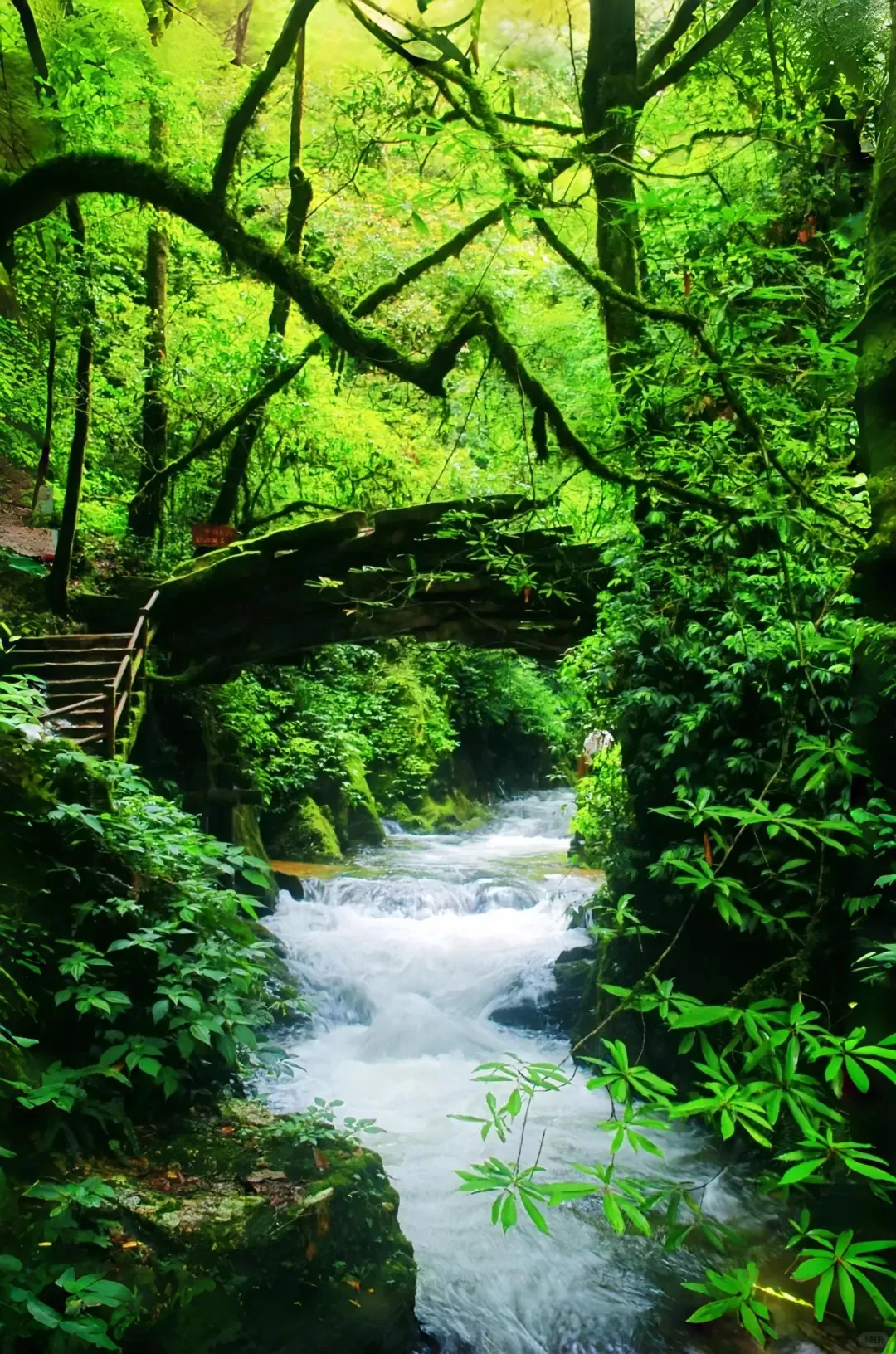 8a316e65439aaf434564794184311982-sz_629557 8a316e65439aaf434564794184311982-sz_629557