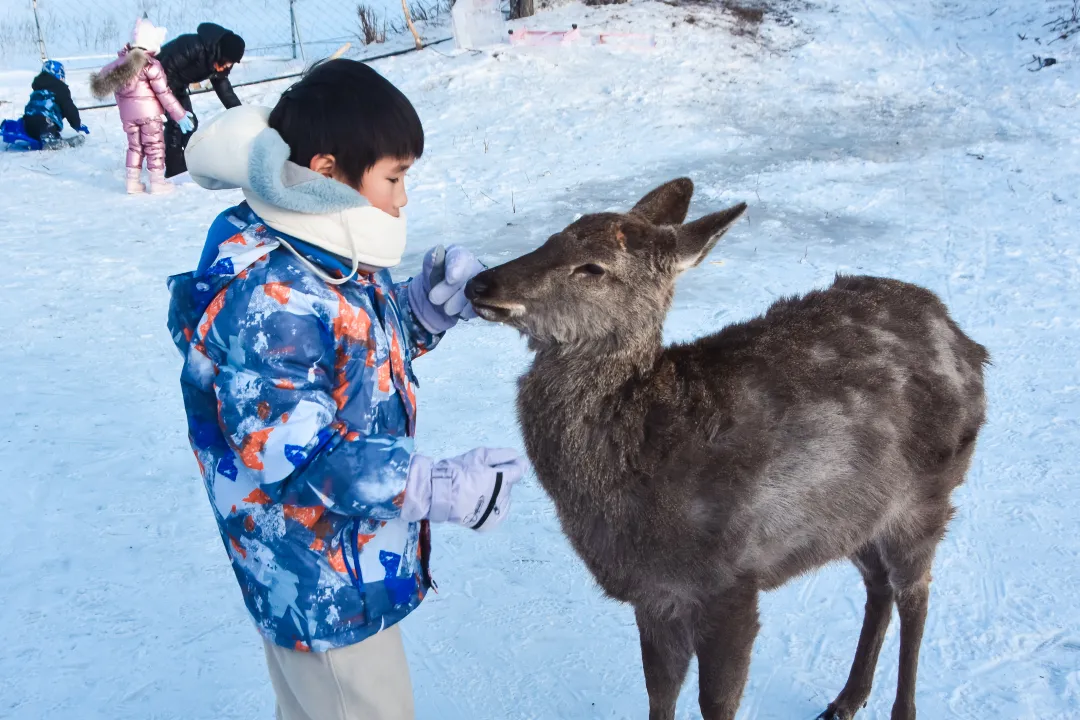 8ad949e5e1e3f7f900ff26ece8b10aea-sz_6297046 8ad949e5e1e3f7f900ff26ece8b10aea-sz_6297046