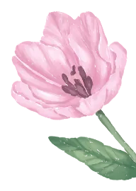 8ae3e5f56aad9e1322953c10aea9077c-sz_52119