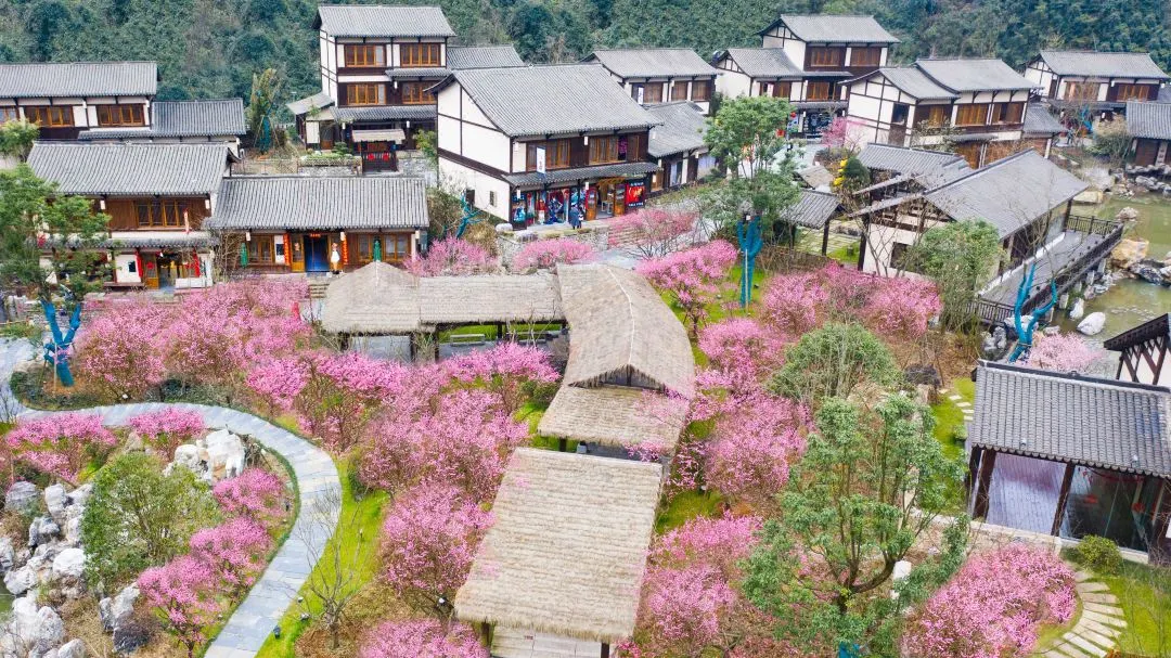 8af840ad85bf8c440256ba0d9706ec71-sz_227328-1 8af840ad85bf8c440256ba0d9706ec71-sz_227328-1