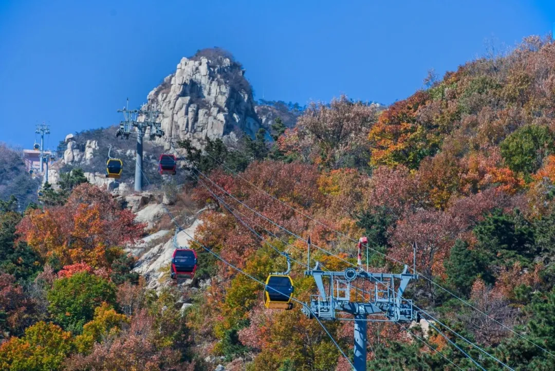 8af87c9f08d2a48799b35012172a7372-sz_319839 8af87c9f08d2a48799b35012172a7372-sz_319839