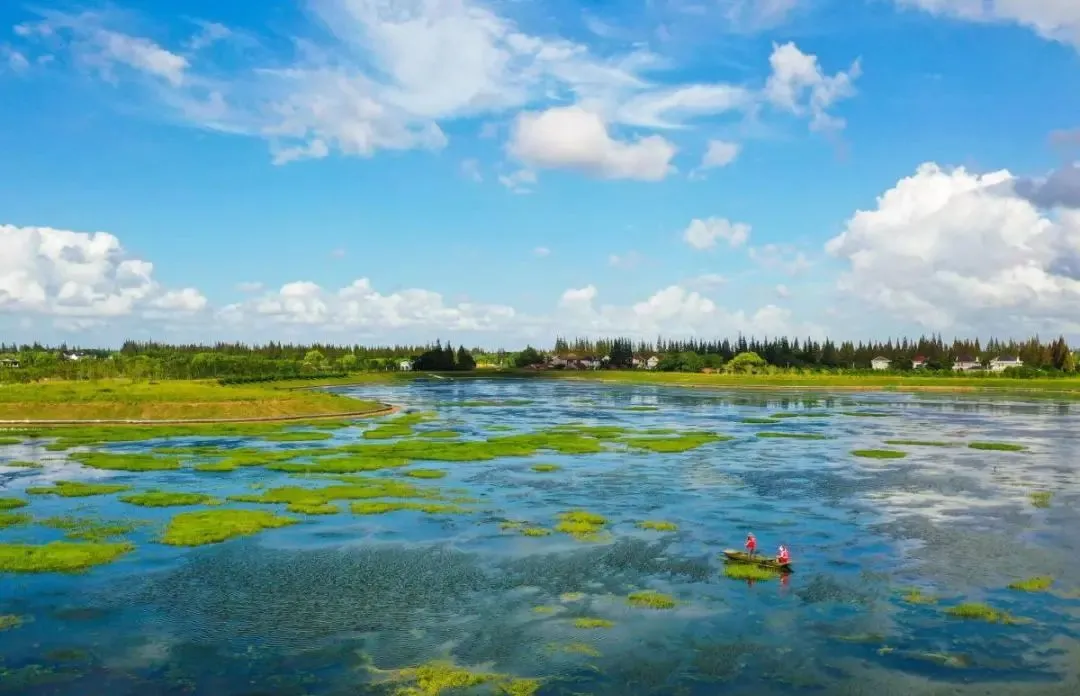 8b060e6d77bc52c6c095bf890a91f43e-sz_1631627 8b060e6d77bc52c6c095bf890a91f43e-sz_1631627