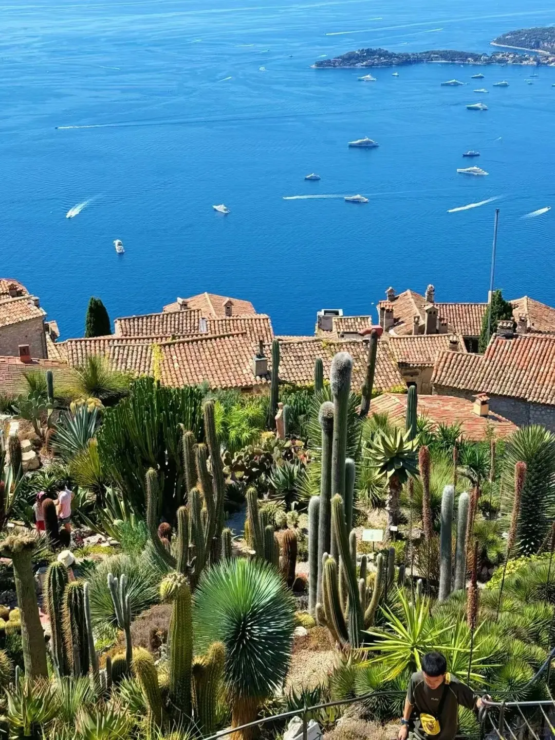 8b26329b797c14eeff9c5298e2f75387-sz_613513-1