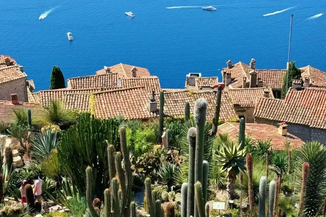 8b26329b797c14eeff9c5298e2f75387-sz_613513