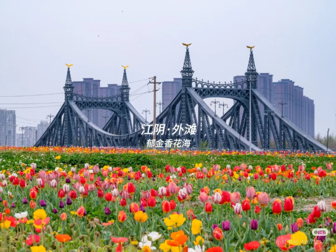 8b34c7c695666591c7021c81277cd019-sz_809178 8b34c7c695666591c7021c81277cd019-sz_809178