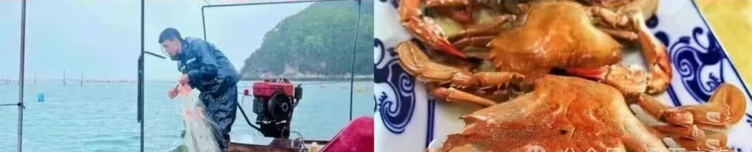 8b353c29d3ef9a07b30c57c3ee36d2b1 8b353c29d3ef9a07b30c57c3ee36d2b1