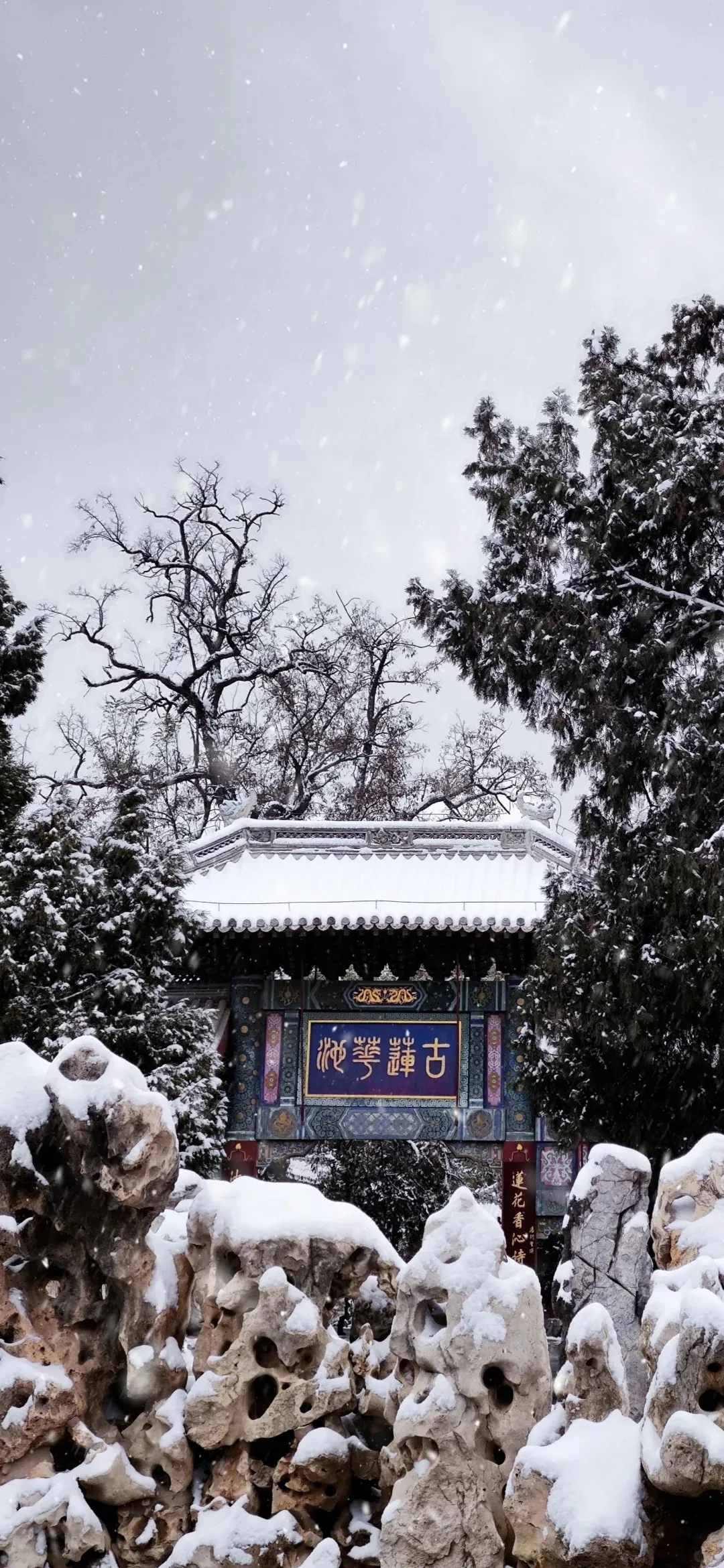 8b651c86ad383f70e042e088553807ce-sz_774269 8b651c86ad383f70e042e088553807ce-sz_774269