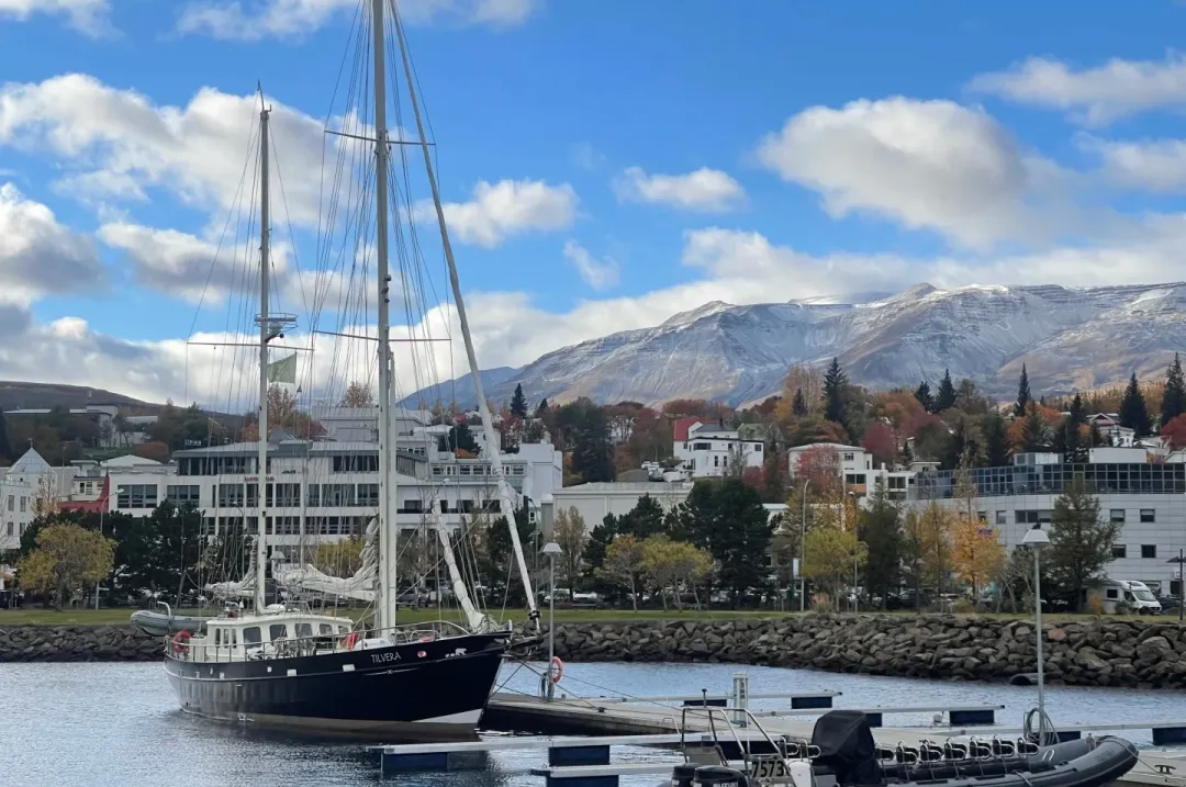 8b6e1c01199097ba0ce932849339e4bb-sz_431530