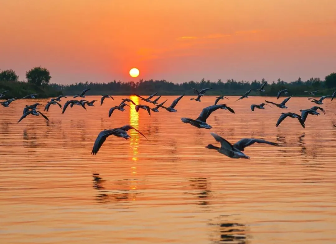 8b7f5de9b8c0021276df04387d306f41-sz_95184