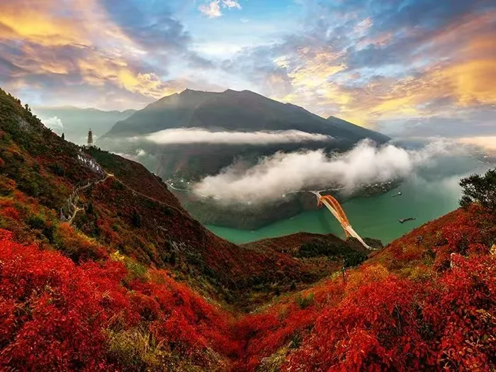 8b9777b627d9da71bae3dddfa972da27-sz_320881 8b9777b627d9da71bae3dddfa972da27-sz_320881