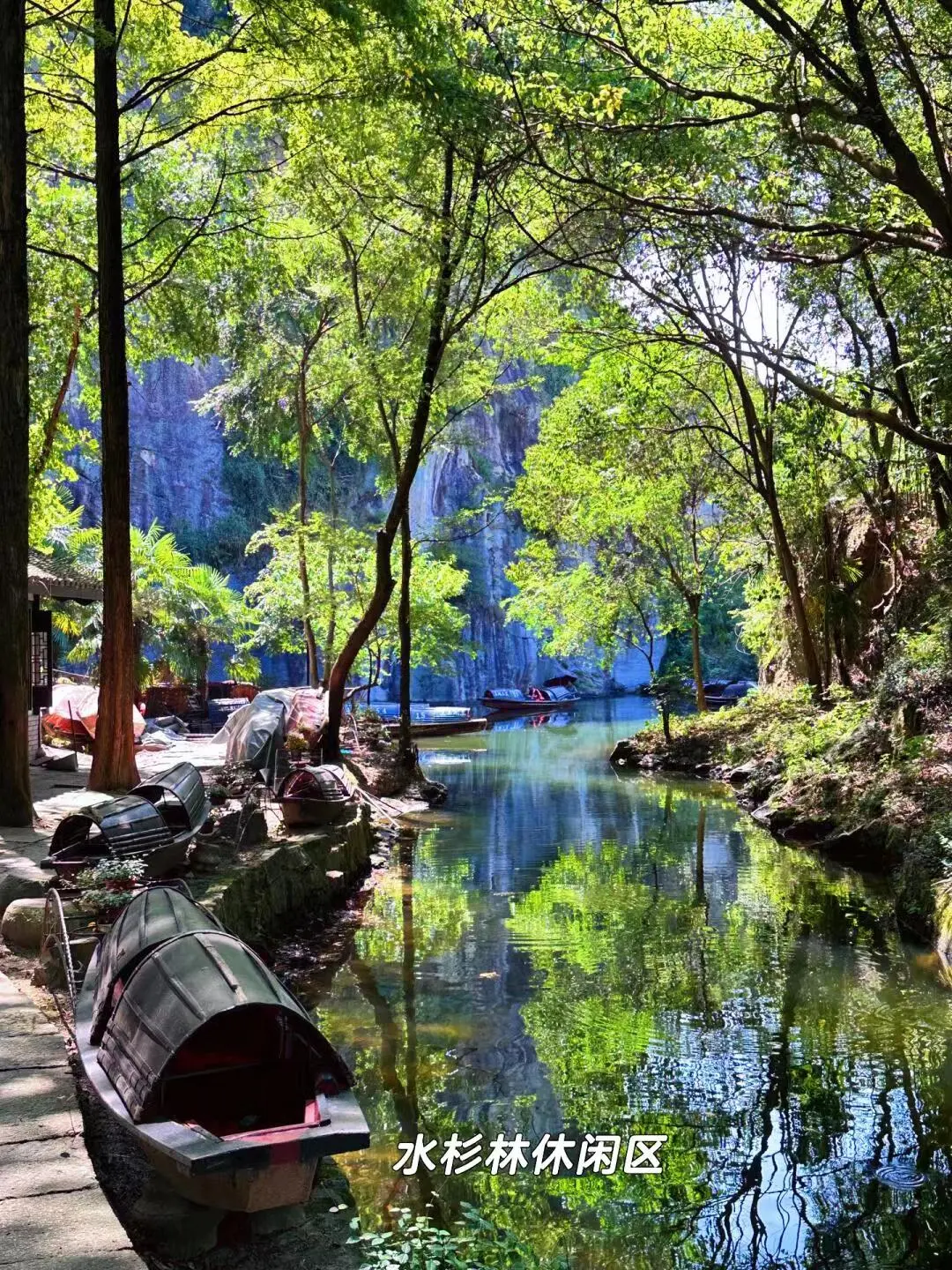 8bbed6aec331458542c8f917f792e1d6-sz_498292