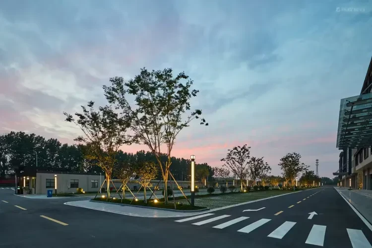 8bea8373d9e5186183ee8765e71e61f7-sz_246123