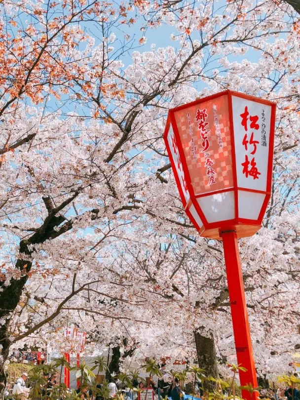 8bfd205356f44b13b9c17b9a0693f376-sz_931234