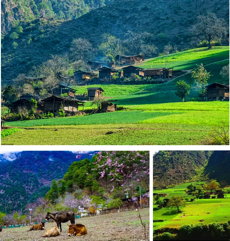 8c0b07413f076f3fce44720111838466-sz_783559 8c0b07413f076f3fce44720111838466-sz_783559