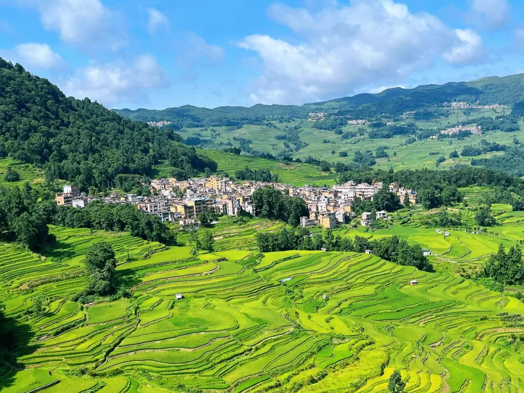 8c0caa56b319029dcce22232fac37c98-sz_4170987 8c0caa56b319029dcce22232fac37c98-sz_4170987