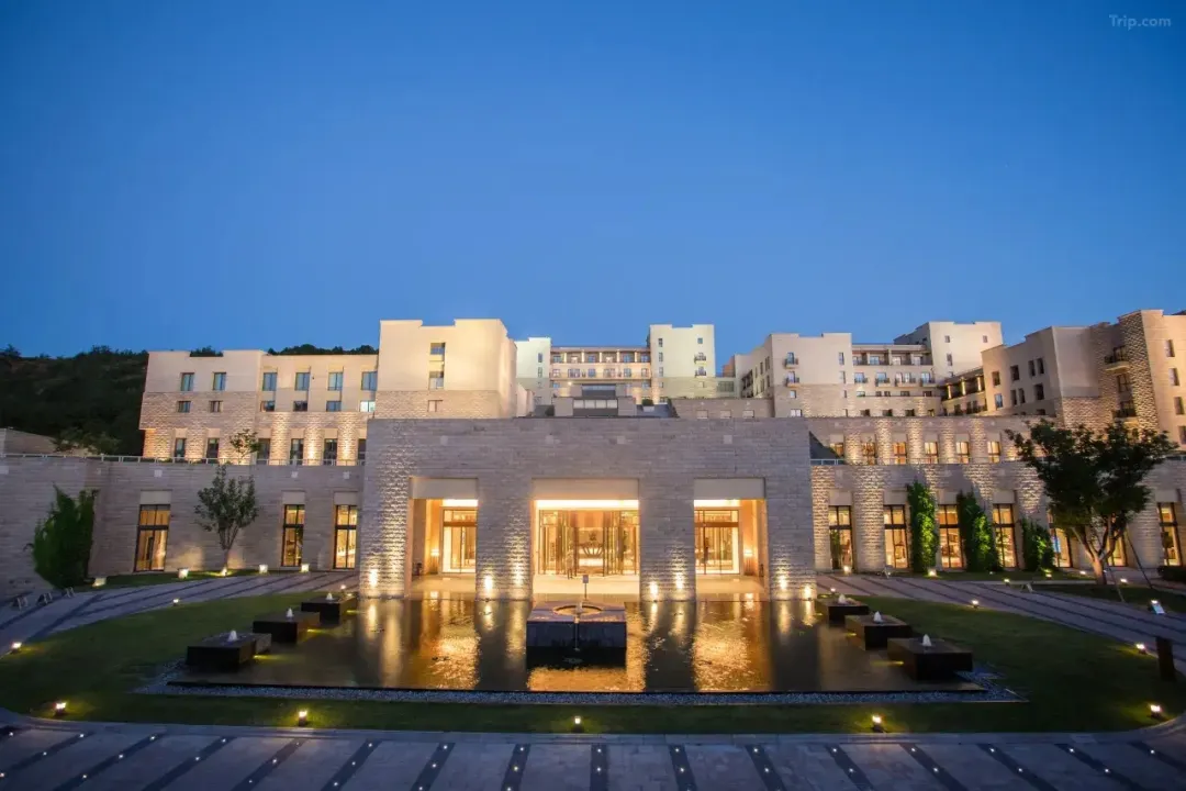 8c2f669a76e9bc0390923fbc8401c363-sz_517707 8c2f669a76e9bc0390923fbc8401c363-sz_517707