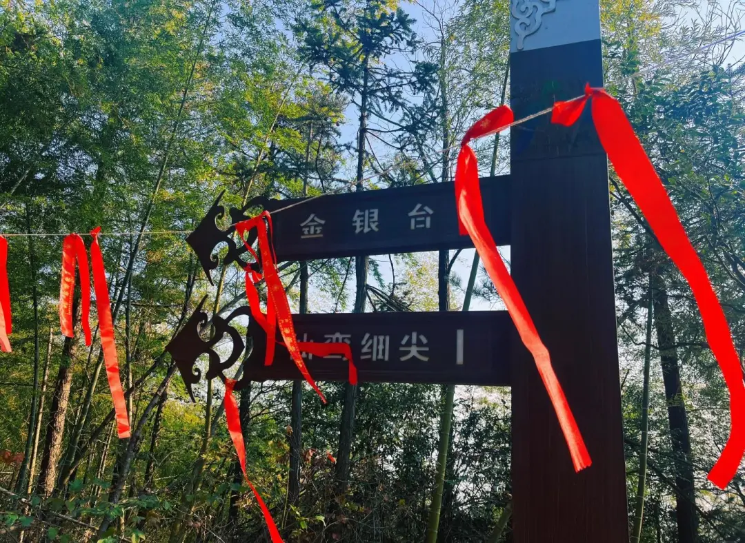 8c43d6846ed2a5911bb4e919c07768b3-sz_466420 8c43d6846ed2a5911bb4e919c07768b3-sz_466420