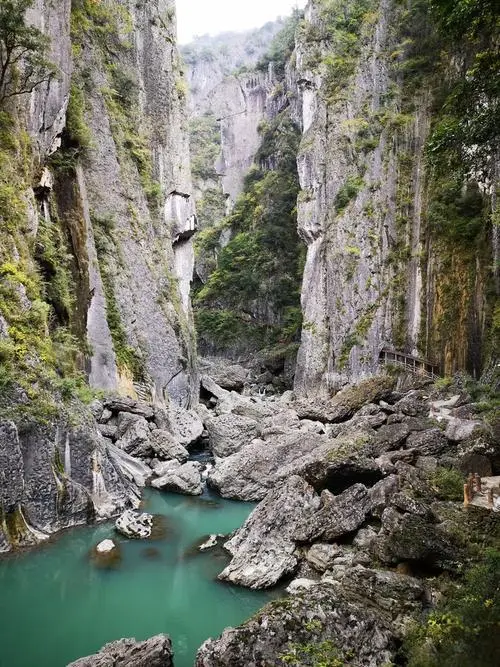 8c573d5ae40a5f27d20a41a433d0f68c-sz_110642