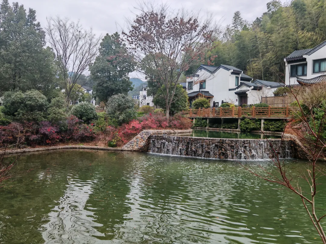 8c8b8c4678ede0e779795810ede4c76d-sz_7516450 8c8b8c4678ede0e779795810ede4c76d-sz_7516450