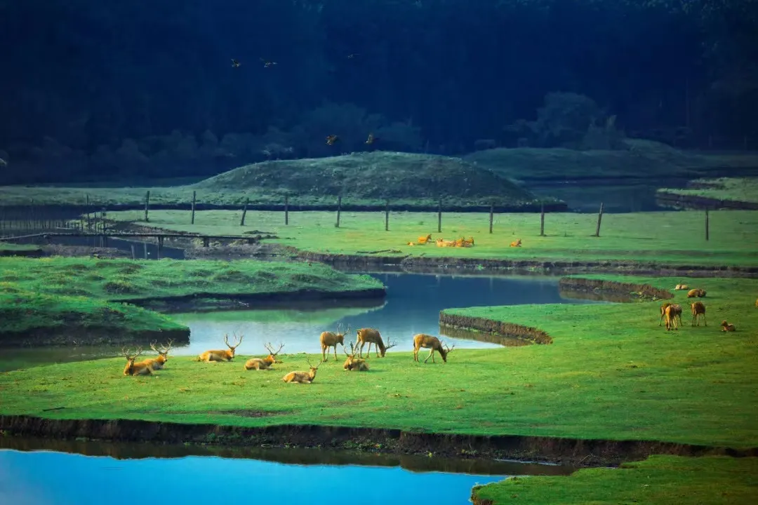 8cd6e99eadf42ebd587632d63150758c-sz_226058 8cd6e99eadf42ebd587632d63150758c-sz_226058