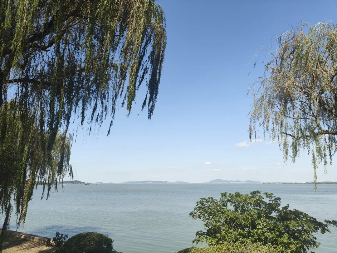 8cfadb231c167992351c1e8a678b02d9-sz_8449353