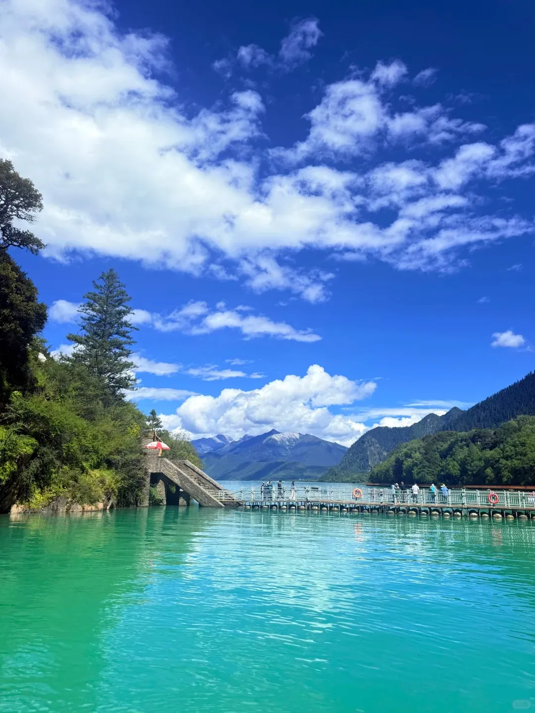 8d19256c4df81ad80ef2260a2ba52e98-sz_378110