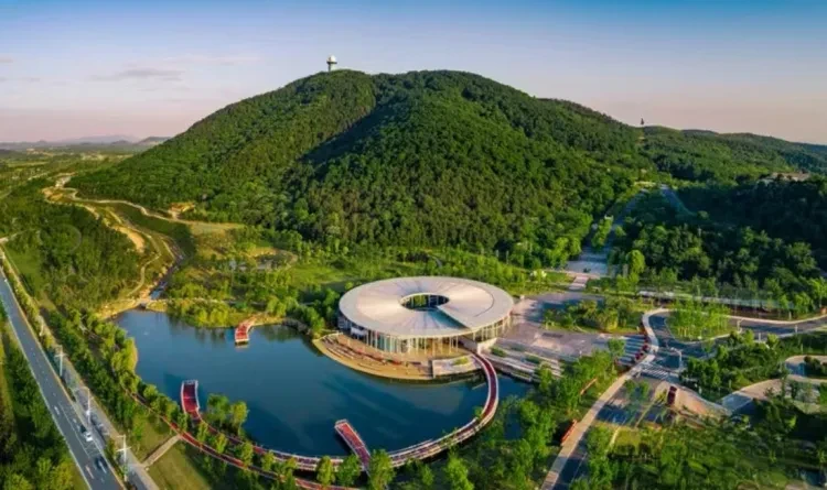 8d2754d73049bc944cedd24871d2cf18-sz_287192 8d2754d73049bc944cedd24871d2cf18-sz_287192