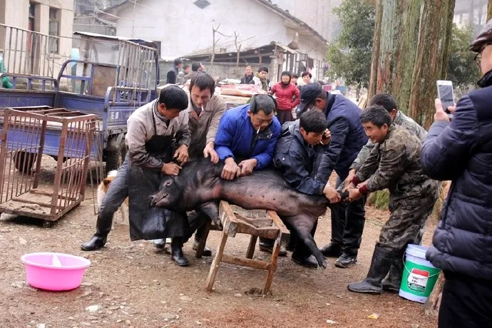 8d3c750315a42add2f9c5814c1cc0ab8-sz_911421 8d3c750315a42add2f9c5814c1cc0ab8-sz_911421