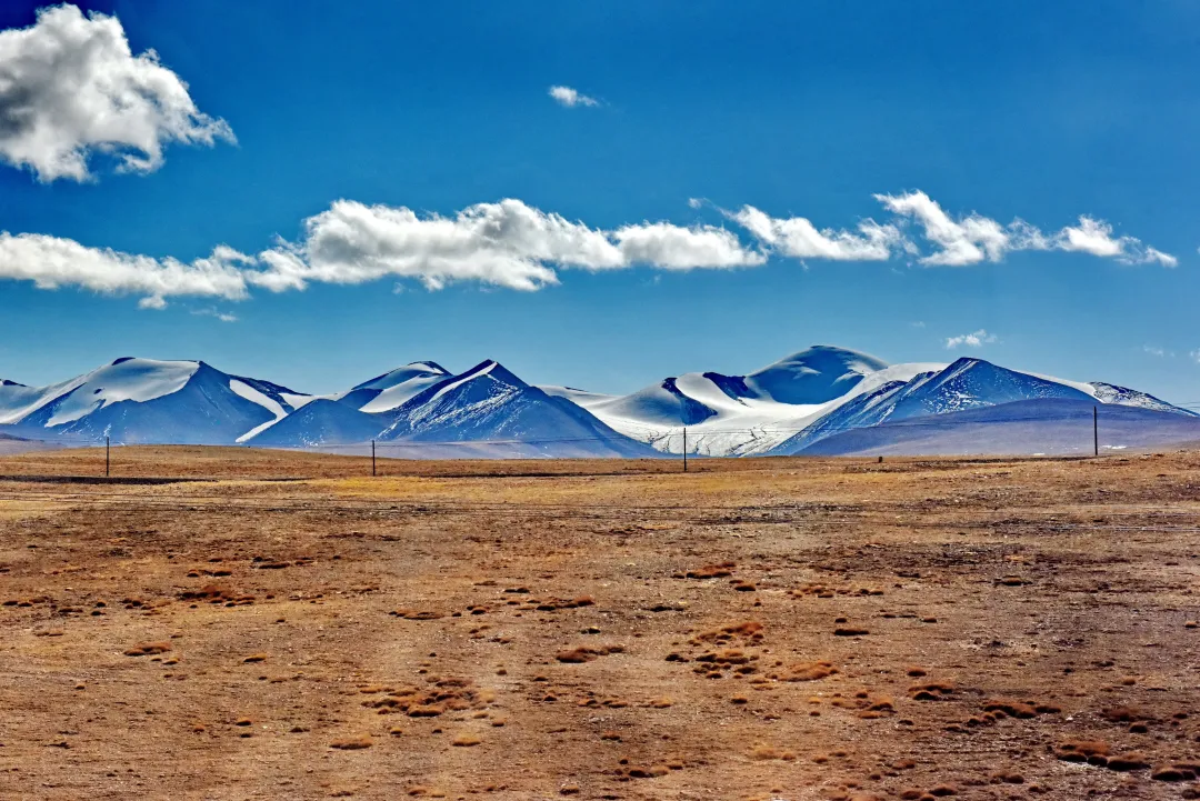 8d519f646d884134bc1267f9b4ef6c4d-sz_3143703