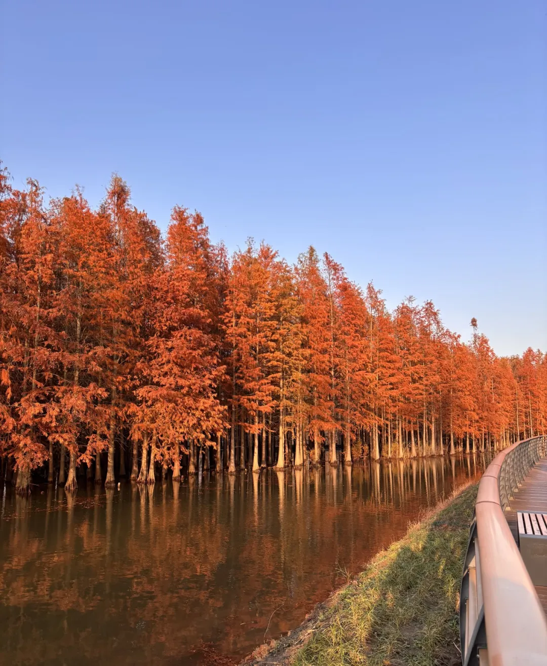 8d5402007a41113bf7467f7448b10cd2-sz_1935043